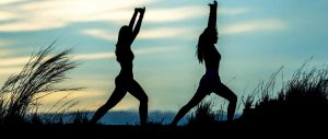 Read more about the article Give Your Website the 15 Point Health Check