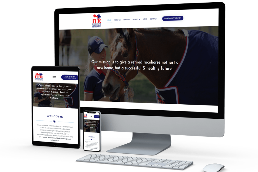 International Thorooughbred Racing Website – LR International Thorooughbred Racing Website - LR