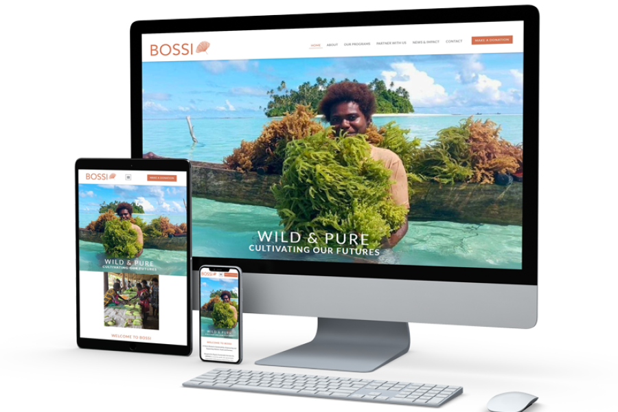 bossihub-website by Kee Websites-LR bossihub-website by Kee Websites-LR